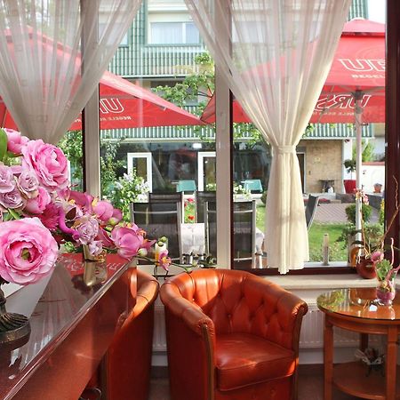 Hotel Casa Jasmine Braşov Esterno foto